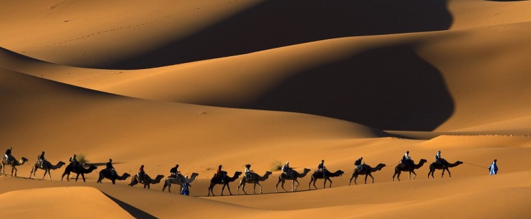 bedouins-on-camels-people-camels-desert-sand-177326