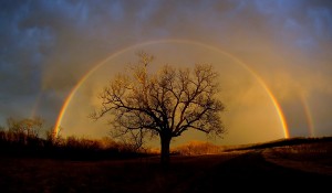 rainbow_elam_cr_1